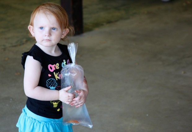 LaPorte County Fair 2013